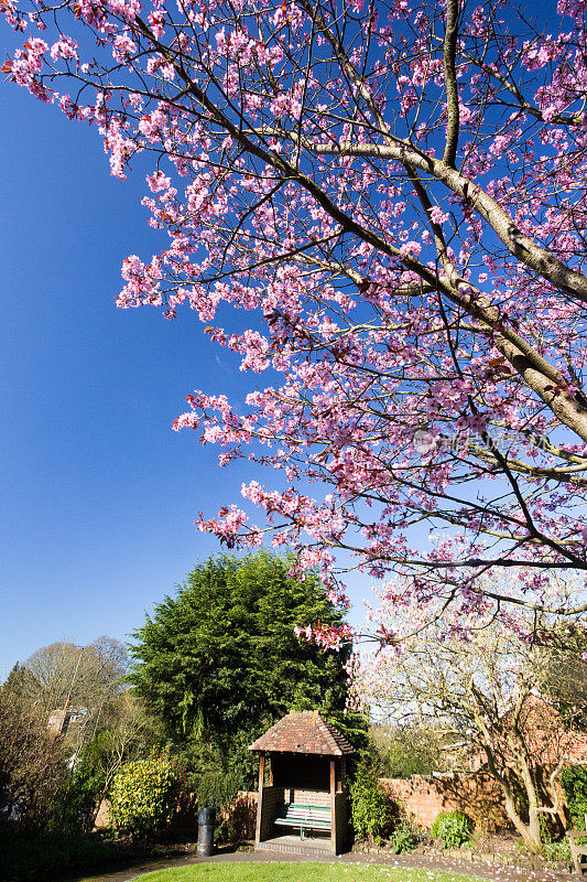 英格兰Sevenoaks的Upper High Street Gardens